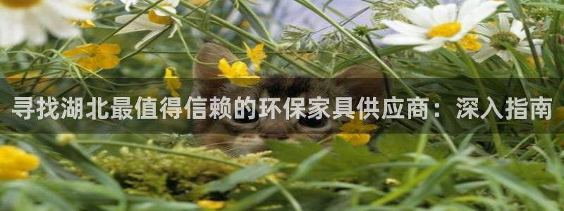 杏耀手机客户端