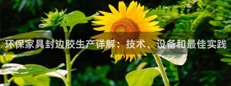 杏耀代理主管qq