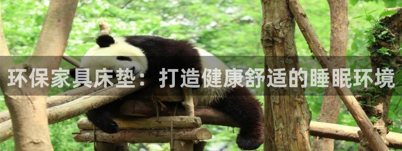 杏耀代理官网