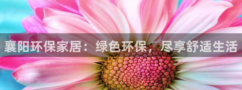 杏耀平台分红
