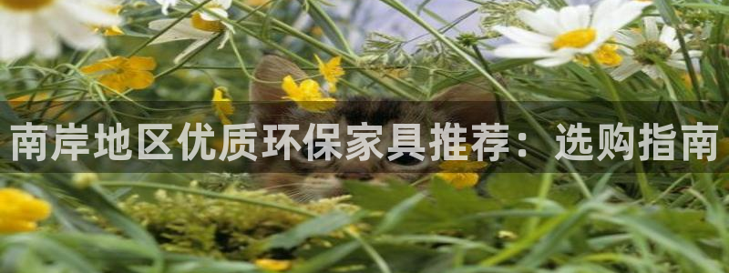 杏耀登陆线路