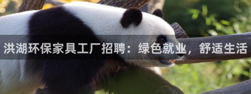 杏耀官网主管