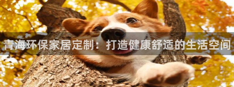 杏耀网址官网