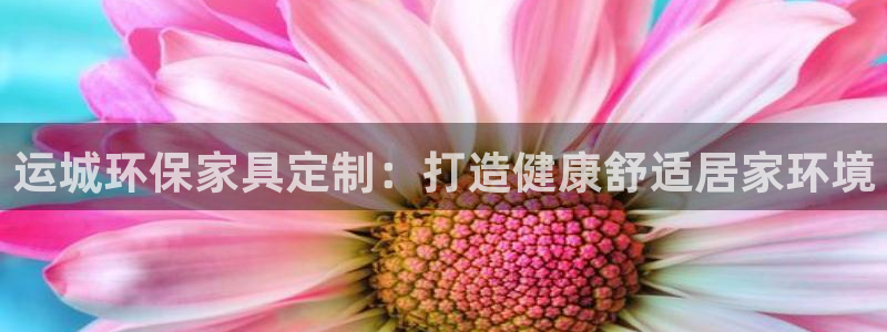 杏耀平台代理怎么赚钱快