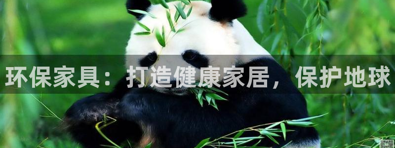 杏耀代理官网