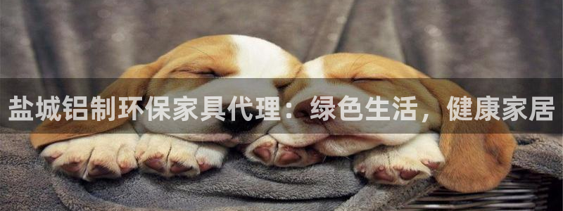 杏耀app怎样申请