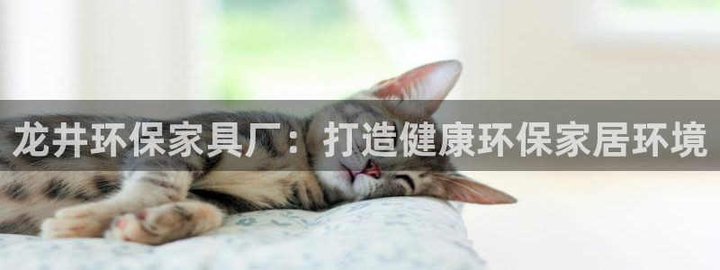 杏耀app怎样申请：龙井环保家具厂：打造健康环保家居环境
