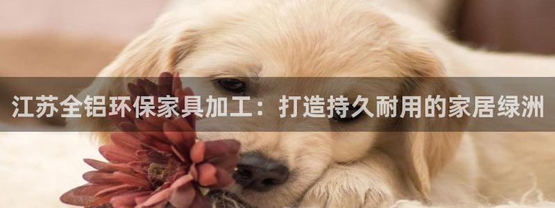 杏耀登陆电脑线路测速