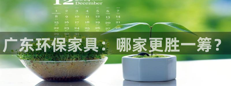 杏耀开户app下载：广东环保家具：哪家更胜一筹？