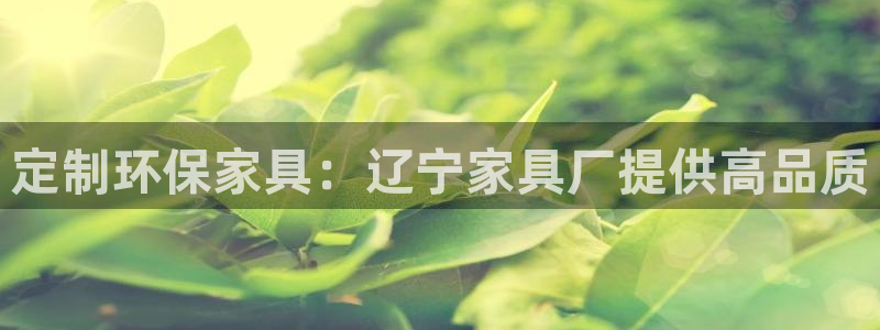 杏耀主管qq：定制环保家具：辽宁家具厂提供高品质