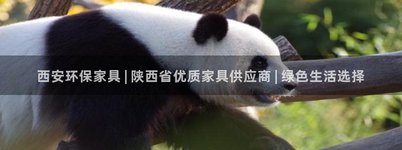 杏耀测速娱乐：西安环保家具 | 陕西省优质家具供应商 | 绿