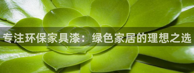 杏耀平台测速地址