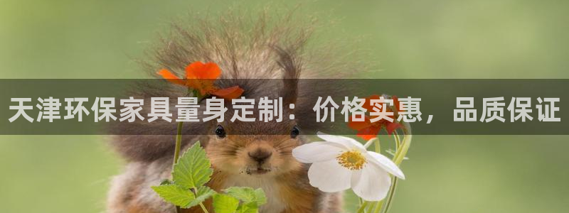 杏耀平台登录网址：天津环保家具量身定制：价格实惠，品质保证