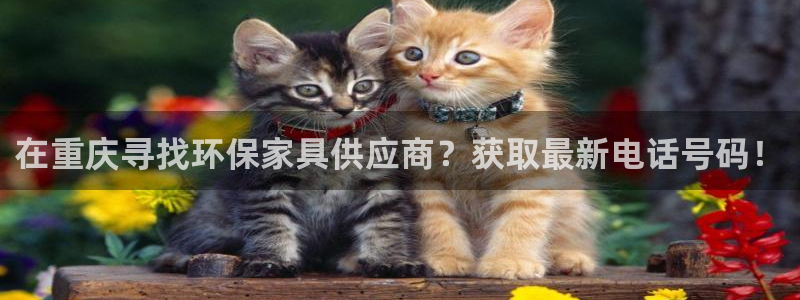 杏耀平台线路测速登录：在重庆寻找环保家具供应商？获取最新电话