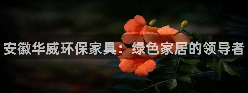 杏耀平台登陆测速
