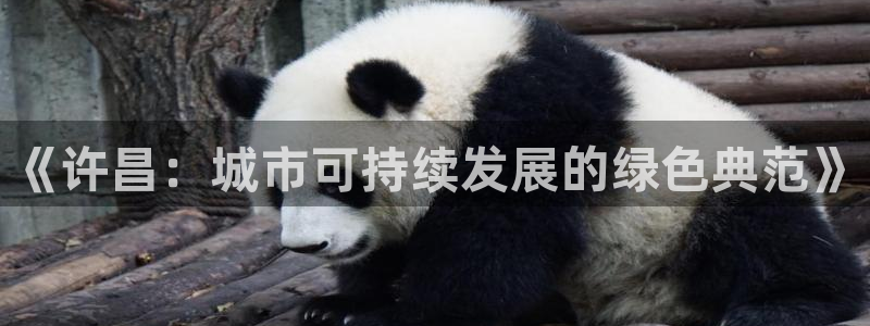杏耀平台在哪里