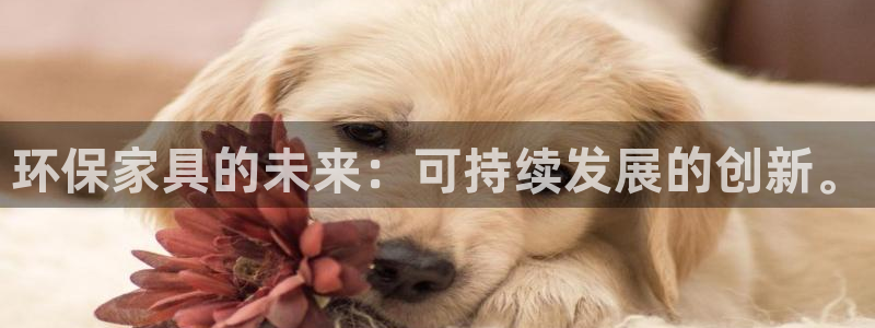 杏耀测速娱乐