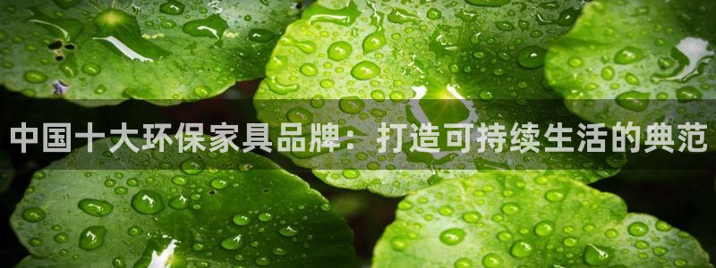 杏耀平台注册登录：中国十大环保家具品牌：打造可持续生活的典范