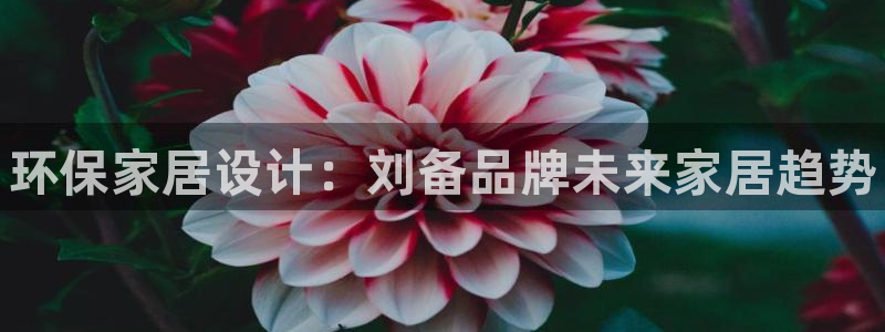 杏耀平台怎么样?