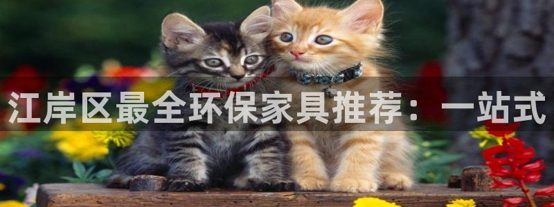 杏耀平台登录网址是什么：江岸区最全环保家具推荐：一站式