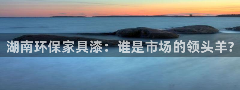 杏耀平台登陆官网：湖南环保家具漆：谁是市场的领头羊?