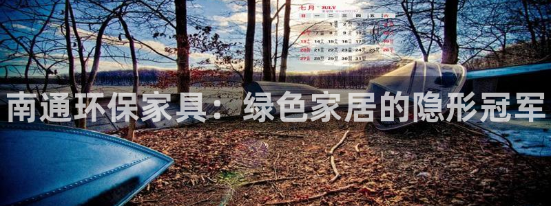 杏耀管网登录：南通环保家具：绿色家居的隐形冠军