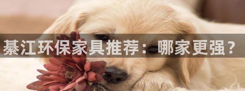 杏耀平台测速登陆