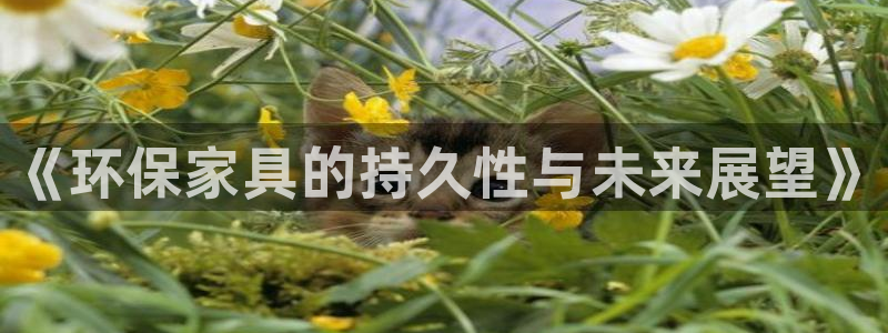 杏耀平台测速地址：《环保家具的持久性与未来展望》