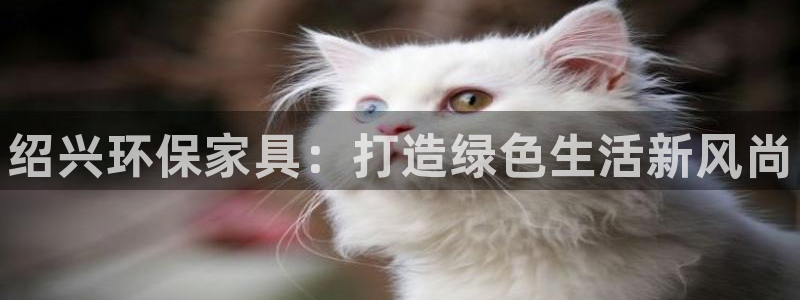 杏耀主管qq：绍兴环保家具：打造绿色生活新风尚