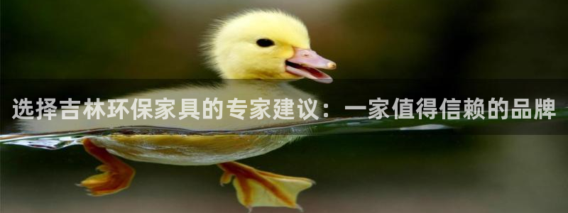 杏耀3注册：选择吉林环保家具的专家建议：一家值得信赖的品牌