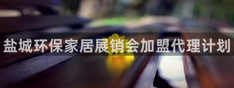 杏耀平台代理注册：盐城环保家居展销会加盟代理计划