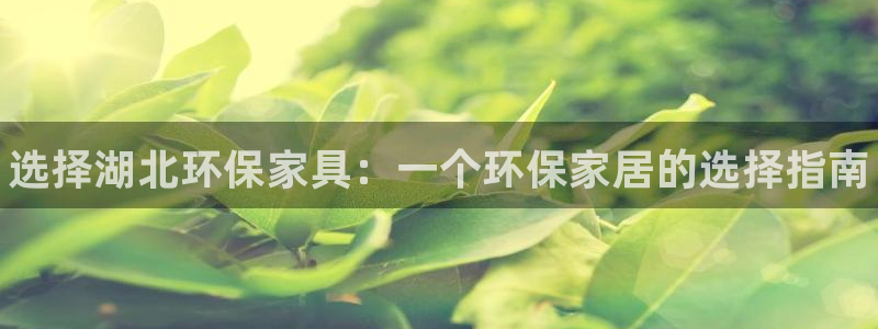 杏耀平台招商的流程：选择湖北环保家具：一个环保家居的选择指南