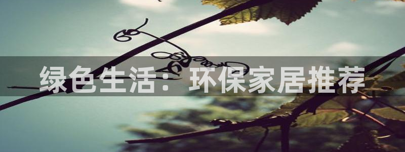 杏耀平台手机登录：绿色生活：环保家居推荐