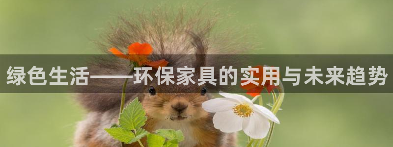 杏耀平台服务中心怎么样：绿色生活——环保家具的实用与未来趋势