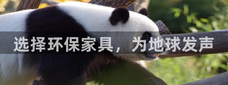 杏耀平台黑款：选择环保家具，为地球发声