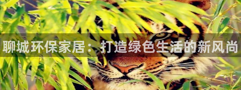 杏耀平台官方网站下载：聊城环保家居：打造绿色生活的新风尚