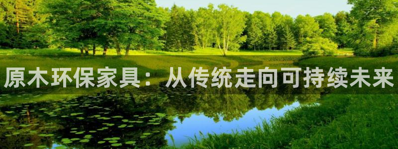 杏耀平台注册网址：原木环保家具：从传统走向可持续未来