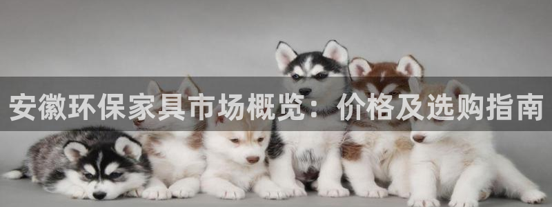 杏耀平台待遇：安徽环保家具市场概览：价格及选购指南
